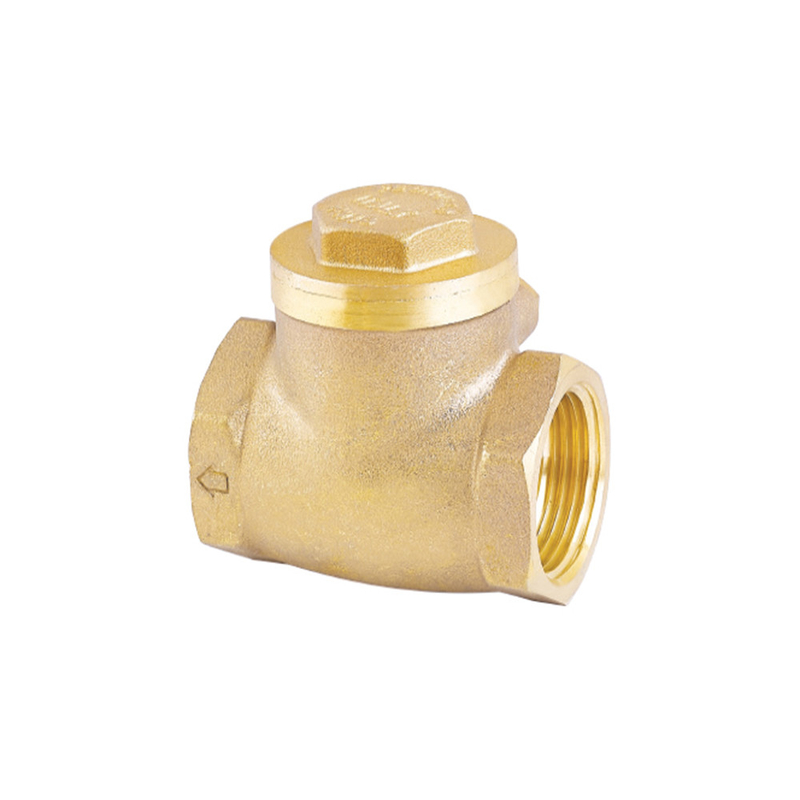 1/2 1" DN15 DN20 DN25 DN32 DN40 DN50 DN65 DN80 DN100 horizontal brass ball check valve